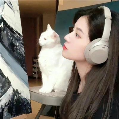 矮精灵历险记
