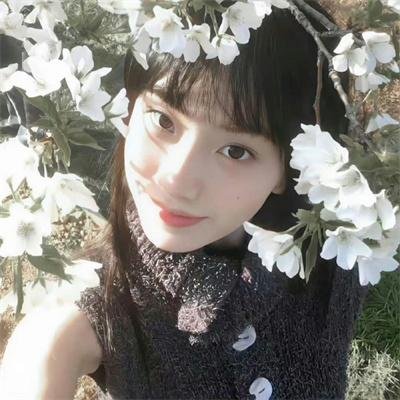 双世美姬